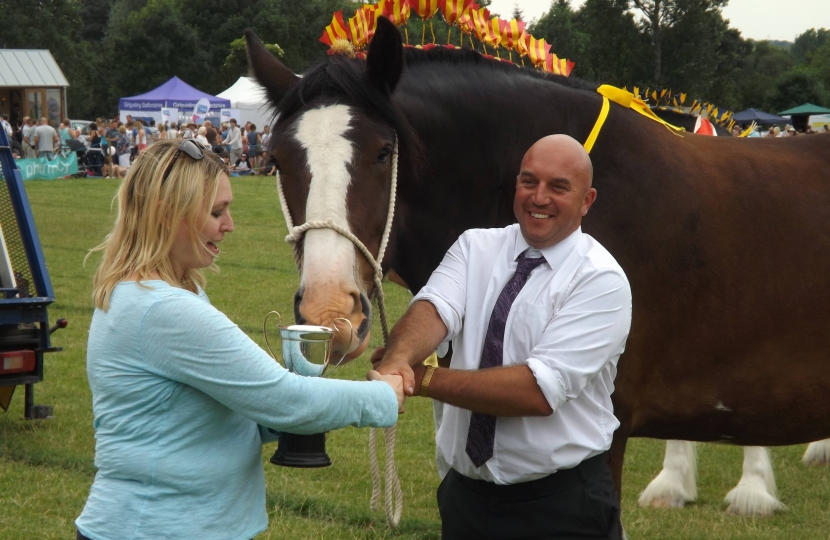 Leek Show 2013 - shire horse