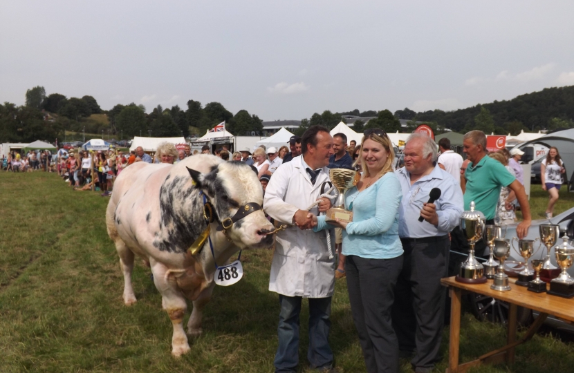 Leek Show 2013 - winning bull