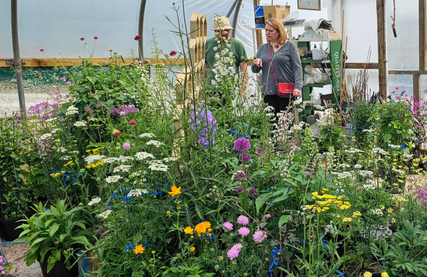 Karen at Proctors Nursery