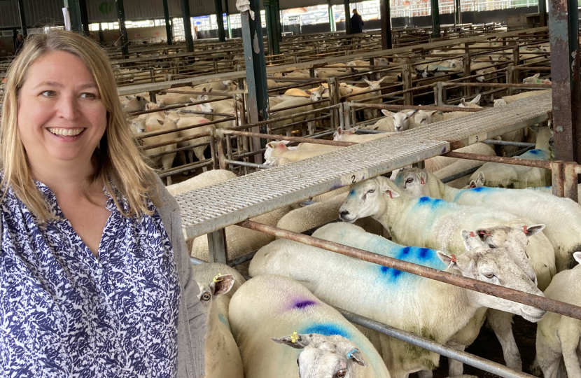 Karen at Leek Cattle Market