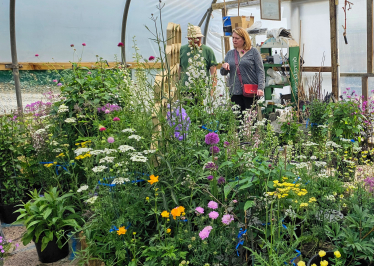 Karen at Proctors Nursery