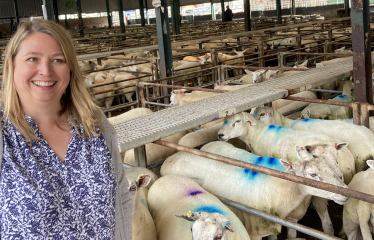 Karen at Leek Cattle Market